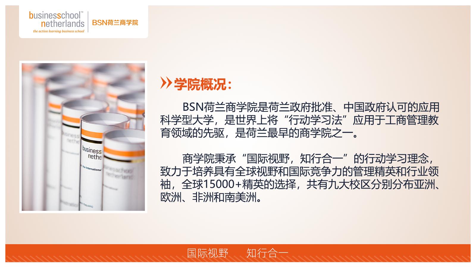 BSN荷蘭商學院MBA（線上）